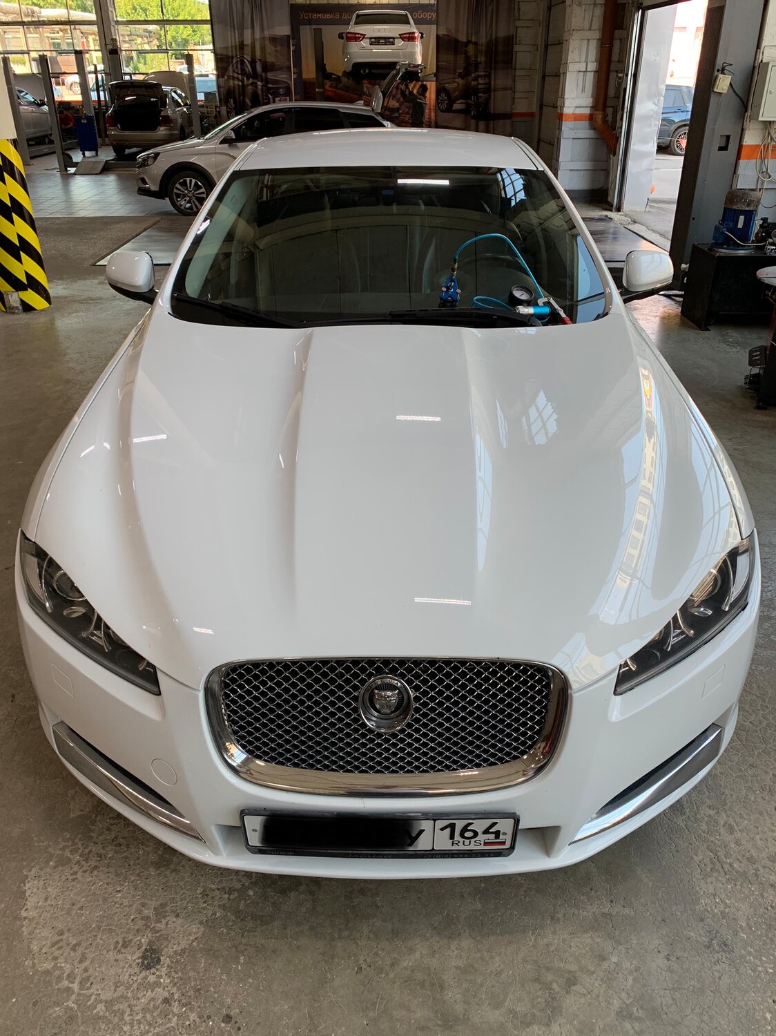 jaguar xf, ягуар xf белый матовый, ягуар xf с черной крышей, авто, Jaguar XJ IV (X351)