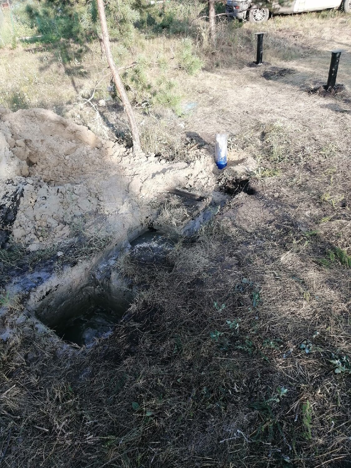 раскопанная могила, труп в посадке, яма, барсучьи городища, скотомогильник с-12-04 032