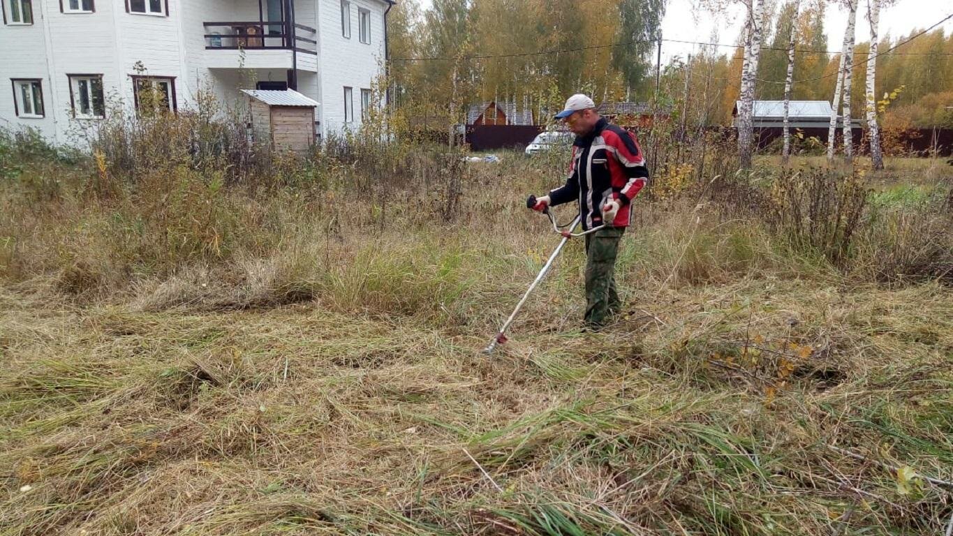 покос бурьяна, покос травы, покос сухой травы, покос травы вдоль дороги, косить траву на участке