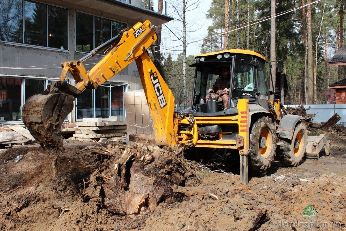 корчевание пней jcb, корчевание пней трактором, корчевание пней экскаватором, корчевание пней экскаватором катерпиллер., экскаватор-погрузчик jcb 4cx копает