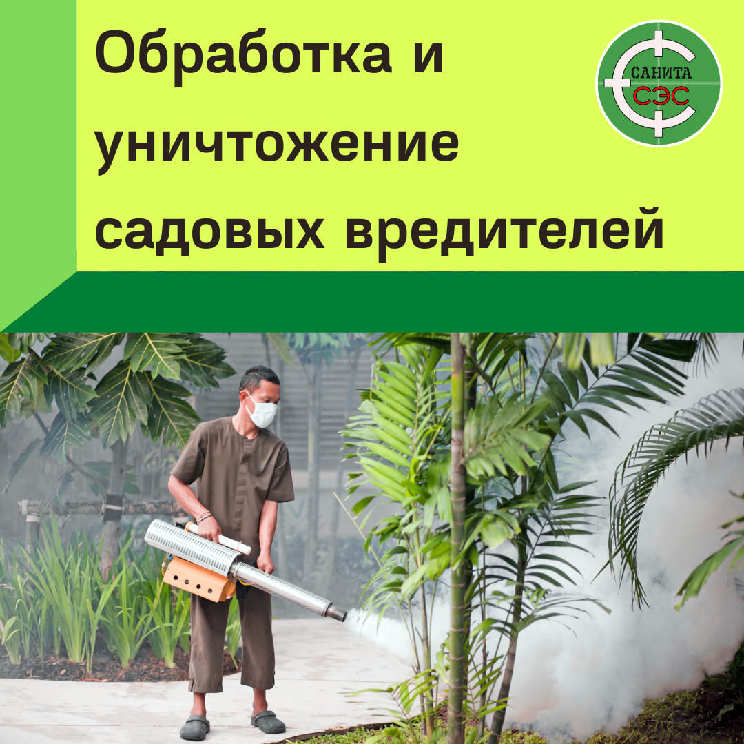 дезинфекция дезинсекция дератизация, дезинсекция, дезинфекции, растение, растения