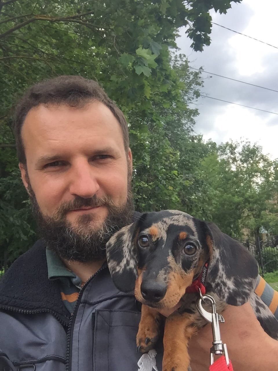 такса, такса собака щенок кроличьей таксы, тактическая такса, мужчина, собака