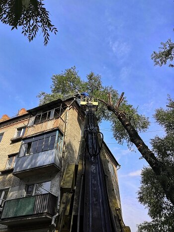 башня в парке дзинтари юрмала, смотровая башня в дзинтари, многоквартирный дом, здание, дом
