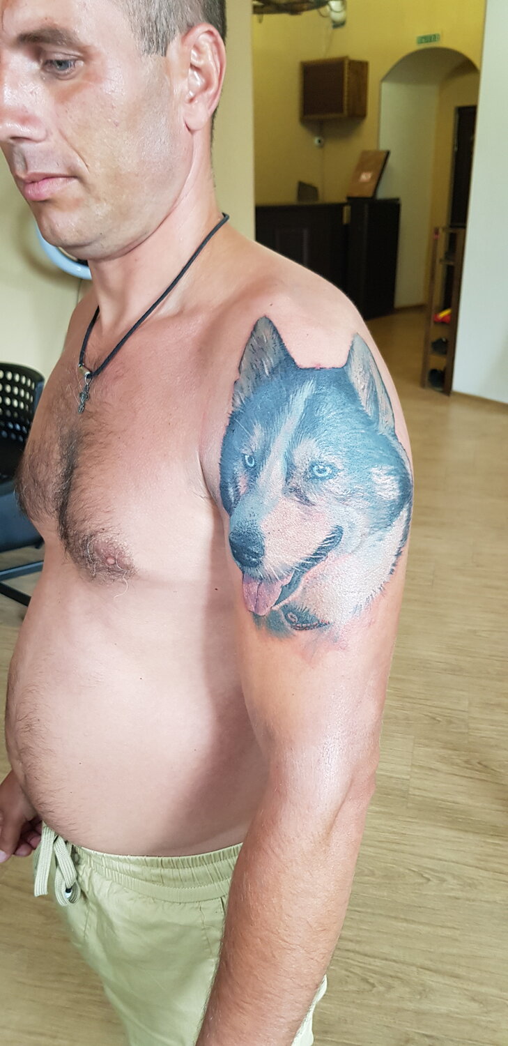 татуировка, тату волк, tattoo, мужская тату, тату волка в стиле реализм