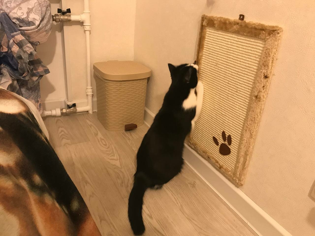 Монтаж других предметов интерьера