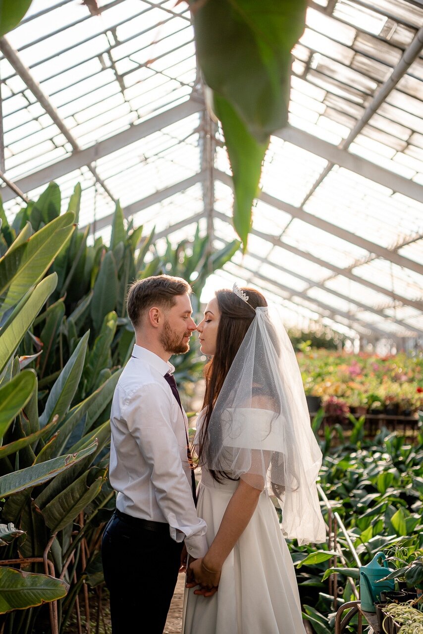 ботанический сад, фотосессия в оранжерее ботанического сада, в оранжерее, фотосессия в оранжерее, алена и артем любочкины свадьба