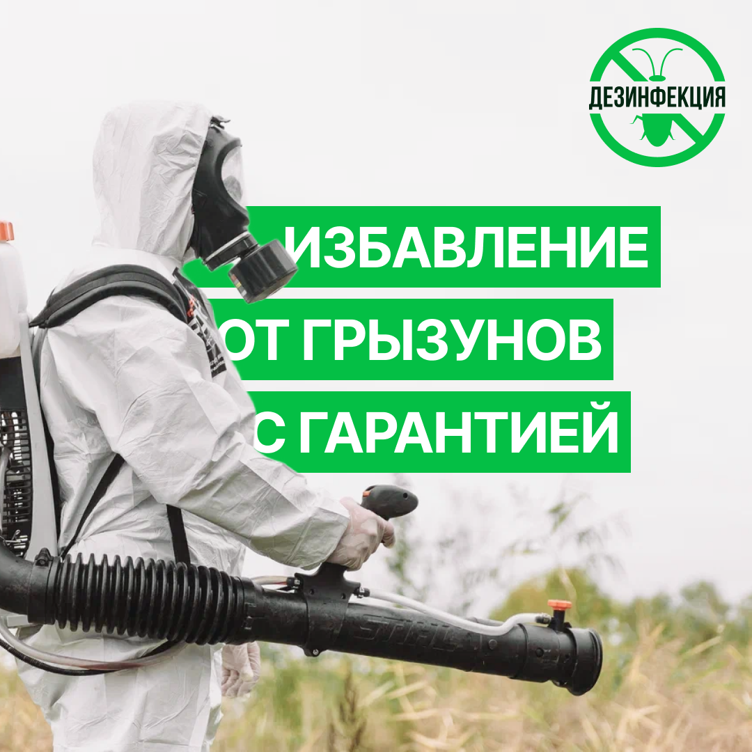 дезинсекция, дезинсекция от насекомых, дезинфекция дезинсекция дератизация, дезинфекция, дезинсекция комаров
