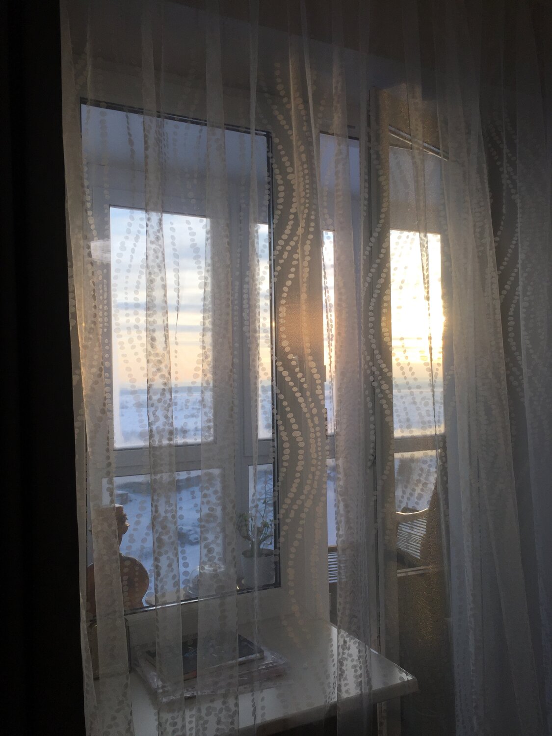 квартира, тюль сетка плиссе escardin, штора чёрные в клетку из органзы, просвечиваются ли занавески из органзы, тюли