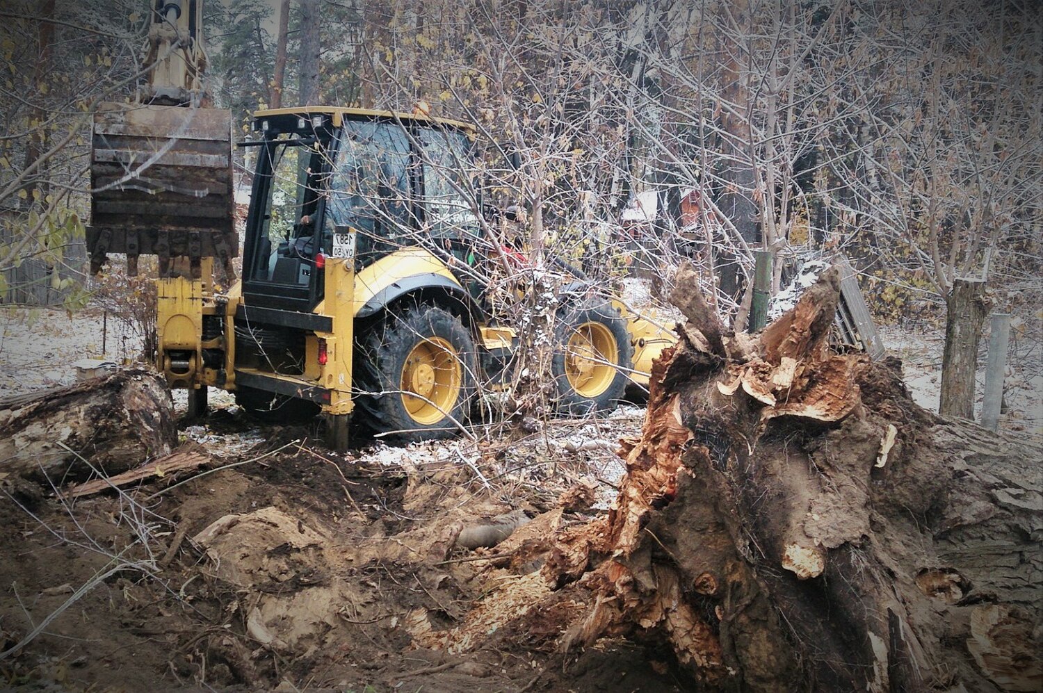 корчевка пней экскаватором вольво, выкорчевка пней экскаватором, валка деревьев и корчевание пней, корчевание, строительная техника