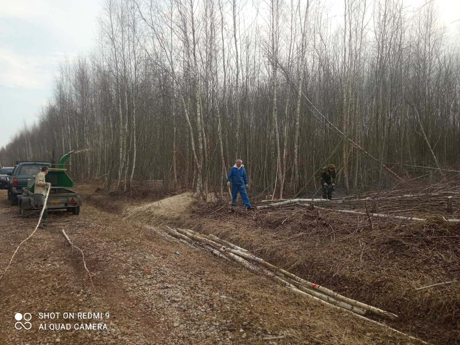 дорог, расчистка леса под населенные пункты, войские горы опочецкий район, расчистка полосы отвода о деревьев, техника