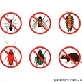 STOP INSECT 38