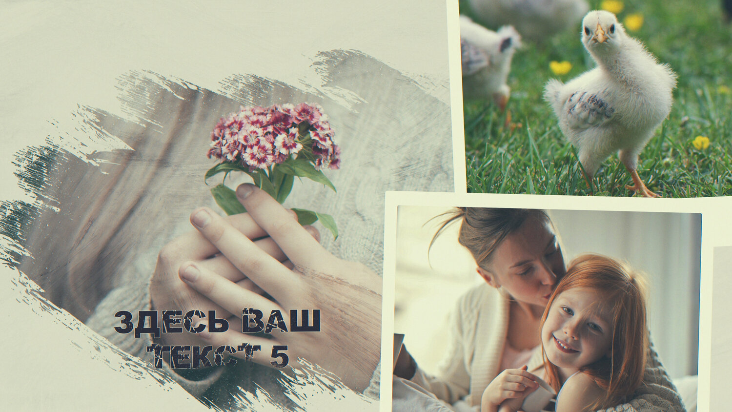 маленький цыпленок, домашняя птица, птицы животные, птица, домашние животные