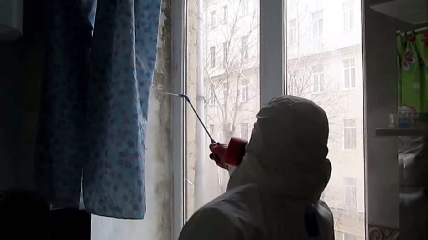 окна, дезинсекция, дезинсекция плесень, люди, дезинфекция