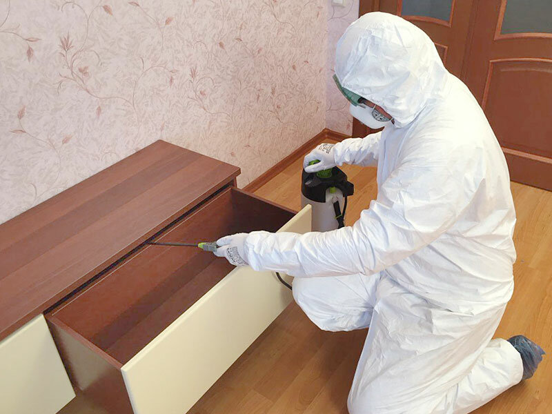 дезинсекция от клопов в москве, дезинсекция клопов, обработка от клопов, дезинсекция, магазин дезинфекции от клопов в петергофе