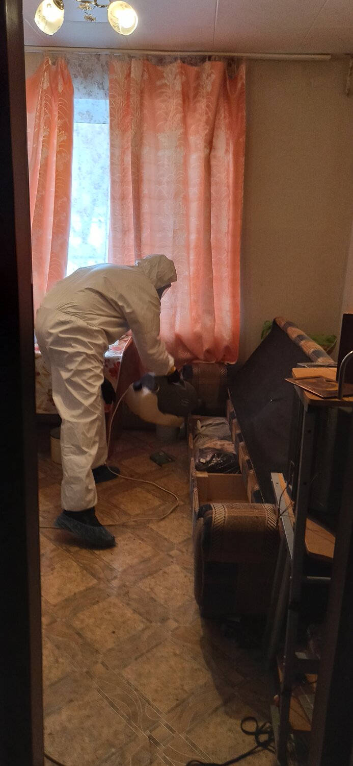 комната, дезинфекция помещений, дезинсекция, холодный туман от клопов, обработка от клопов