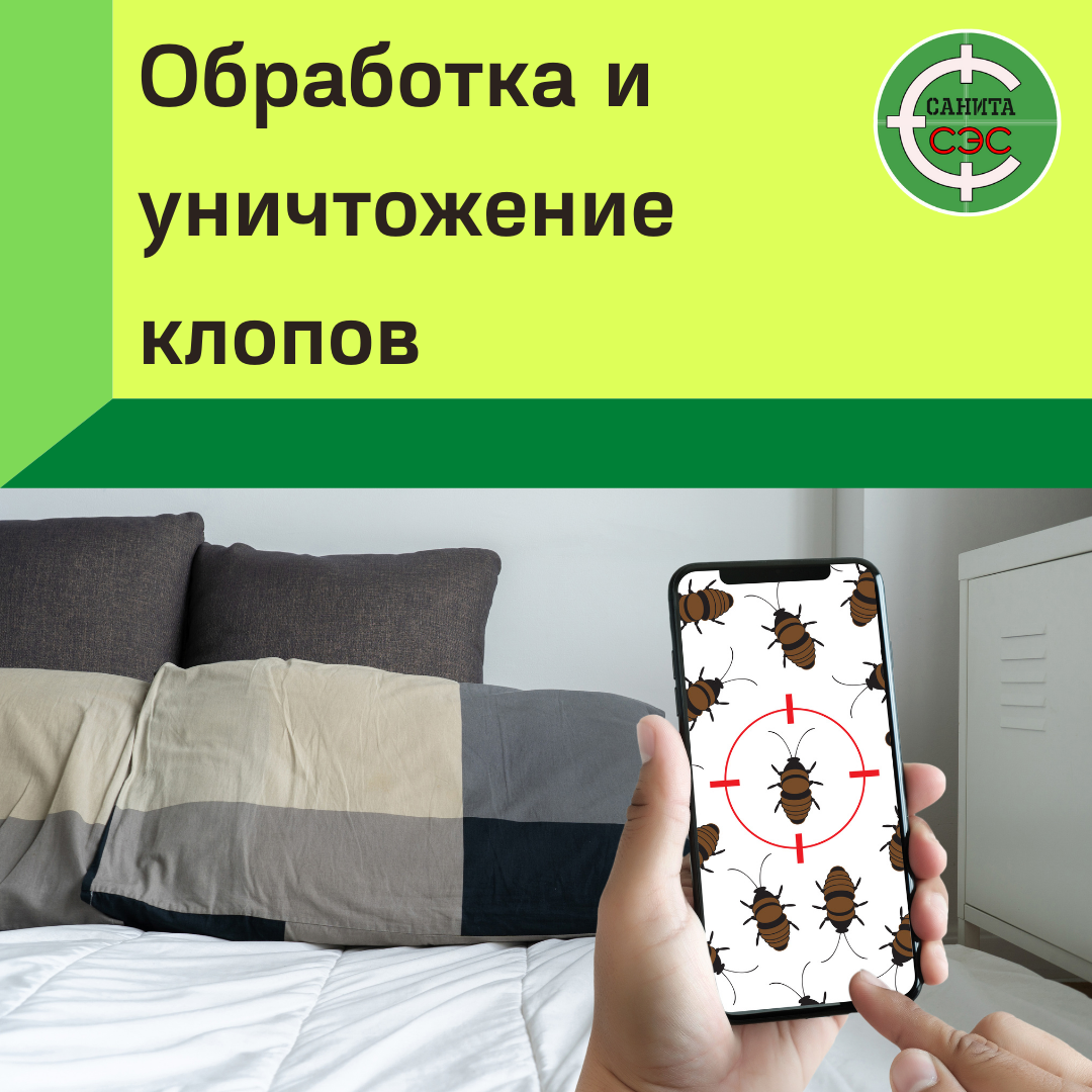 уничтожение клопов, клопы, санобработка, уничтожение, текстиль