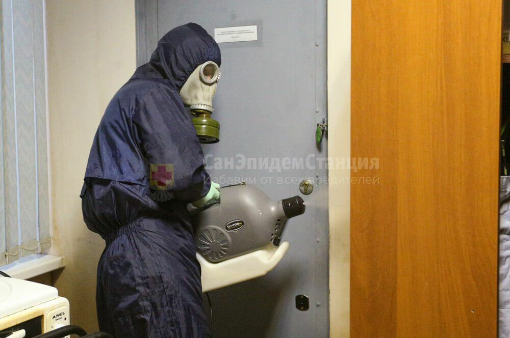 дезинсекция от тараканов, дезинсекция, дезинсекция от клопов, дезинфекция дезинсекция дератизация, дезинфекция от клопов