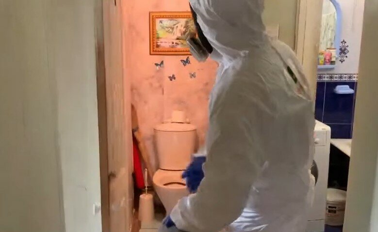 дезинсекция, дезинфекции, дезинфекция помещений, дезинфекция дезинсекция дератизация, дезинфекция и дезинсекция