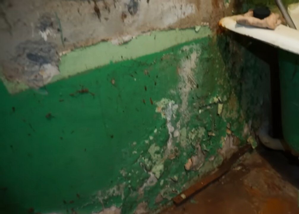 стена подъезда, подъезды, жильцы дома, старые подъезды, сырая стена в подъезде