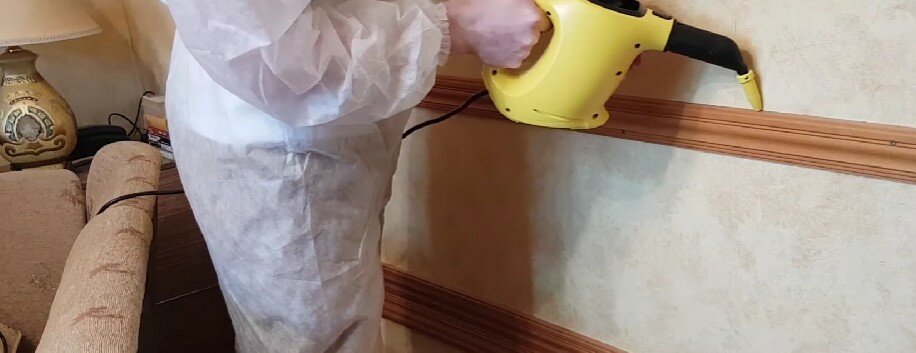 дезинфекция помещений, дезинфекция и дезинсекция, дезинфекция от клопов ижевск, дезинфекция от клопов, дезинсекция