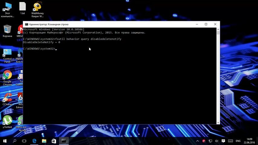 экран с текстом, питон скрины, промт, windows 10, ошибка