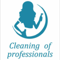 Cleaningofprofessionals