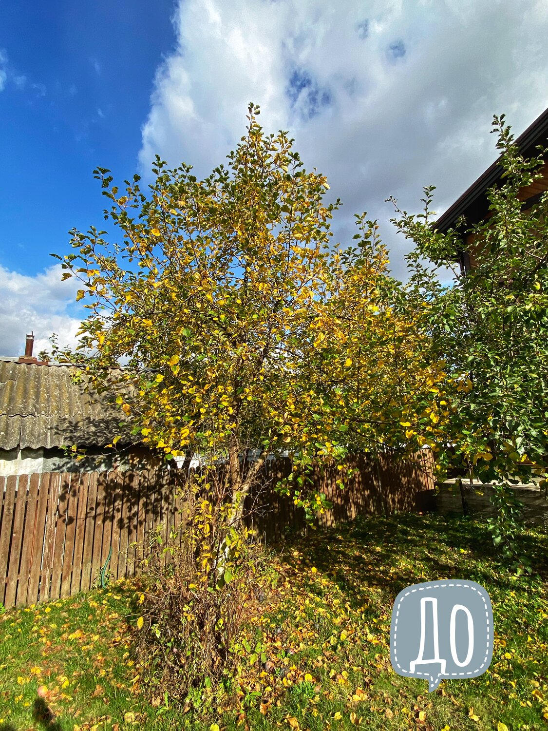 дача, дом дача, участок, дачный участок, дачный участок с домом