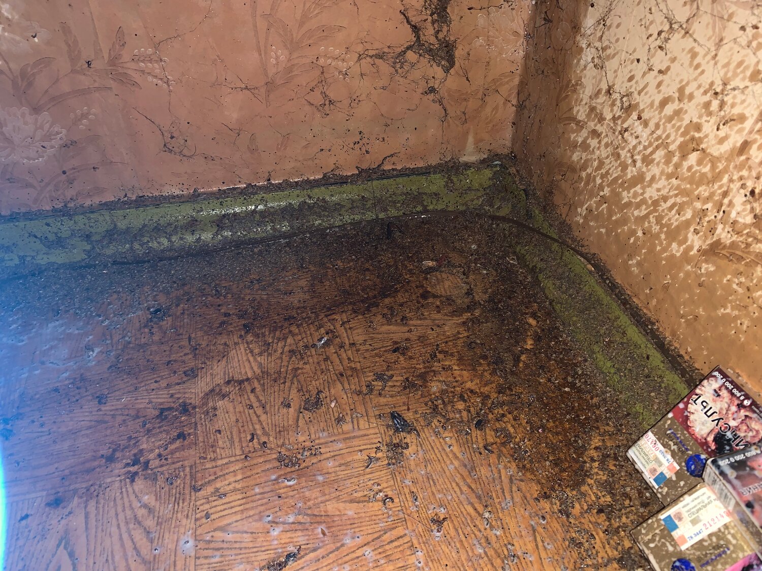 устройство стяжки пола, полусухая стяжка, протечки в подвале, плесень на полу, стяжка пола