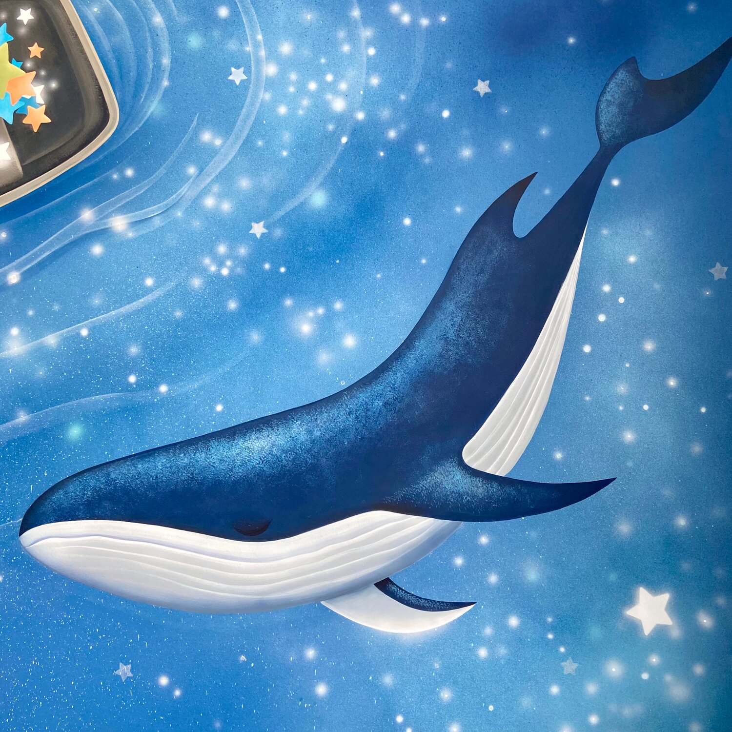 киты, whale, морской кит, киты синие, голубой кит