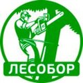 Лесобор