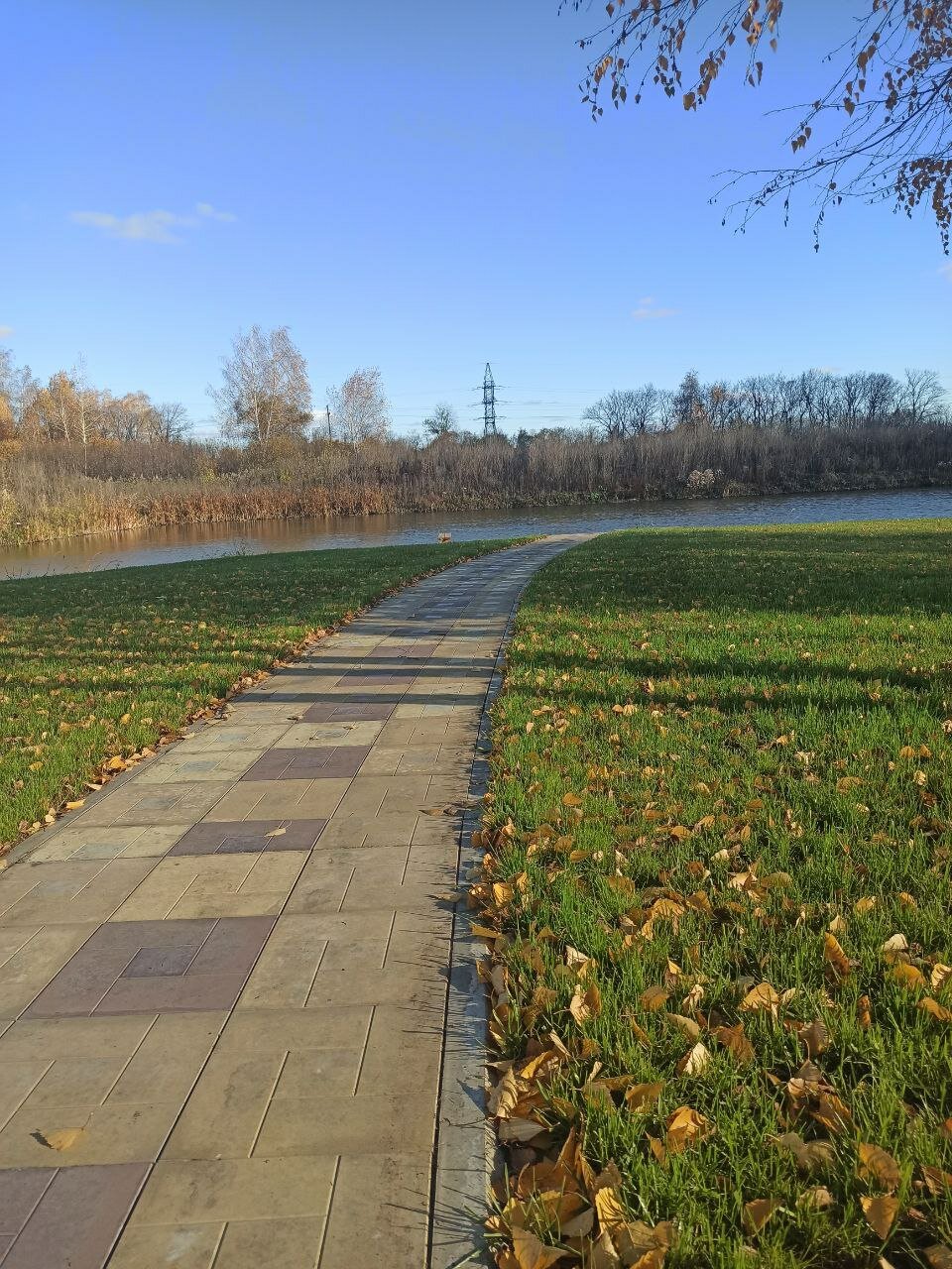 природа, парк, дорожки в парке, в парке, парк солнечный воронеж
