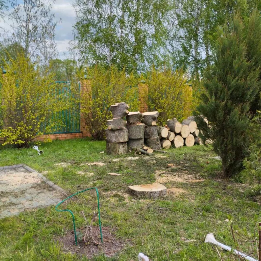 природа, ландшафтный дизайн сада, ломовской природно-ландшафтный парк мужичье, ландшафтный дизайн, дизайн сада