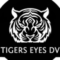 Tigers Eyes Dv