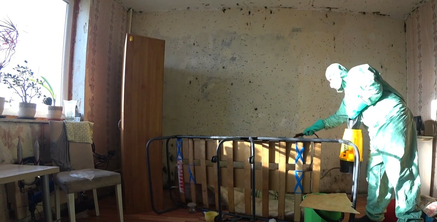 дезинсекция, дезинфекция, уничтожение клопов, дезинфекция от клопов, дезинфекция дома