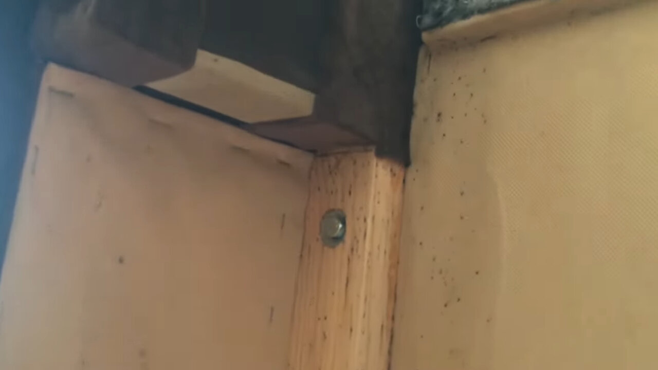 гнездо клопов, клопы в доме, клоп в квартире, клопы в диване, скрытый крепеж