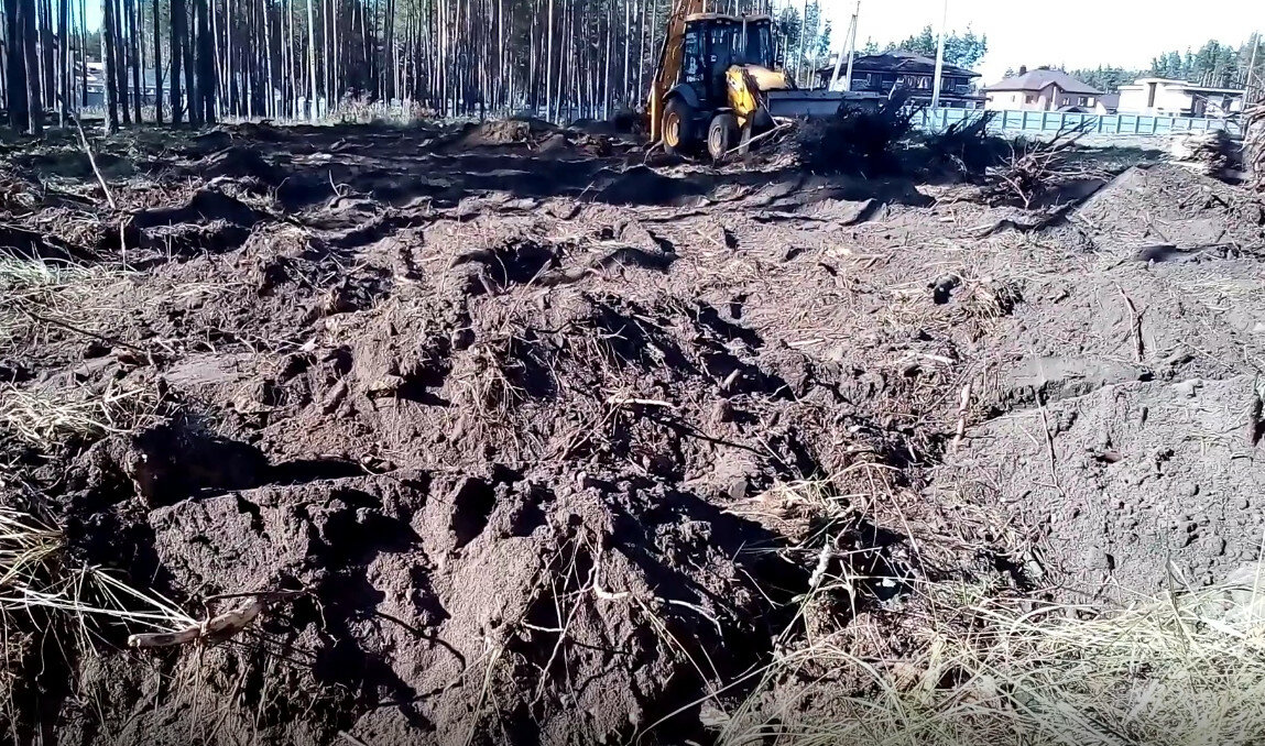 торфяная, торф и сапропель, торф, торфяная земля, лесная земля