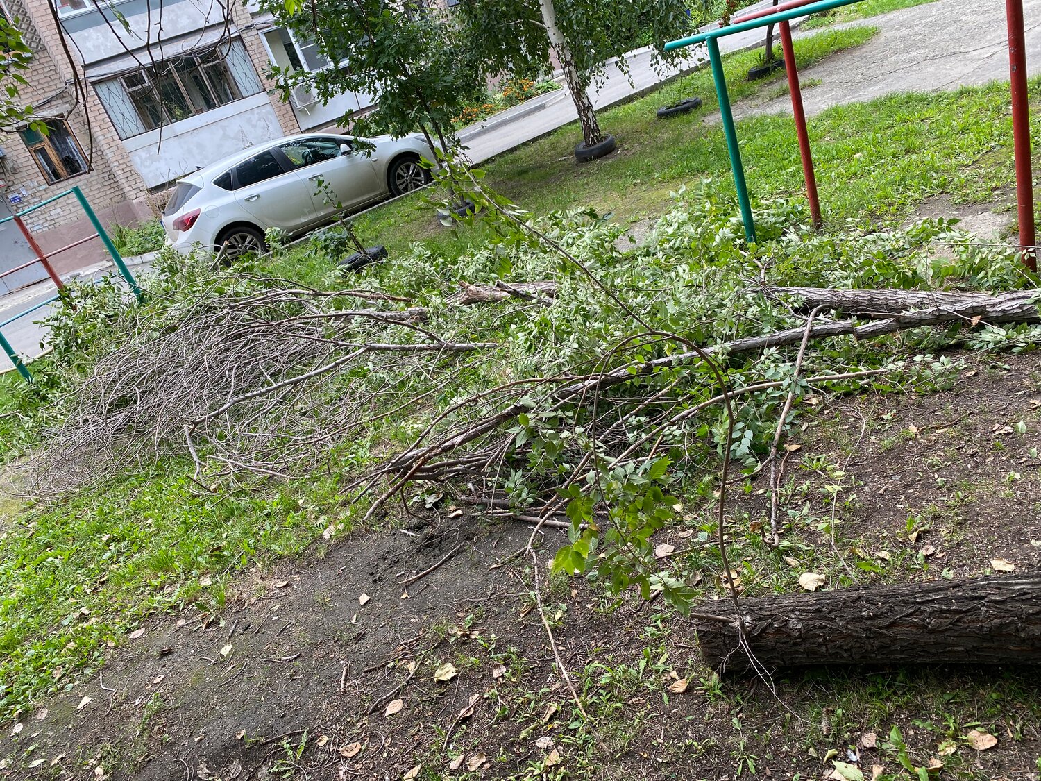 упавшее дерево, поваленные деревья, сломанное дерево во дворе, упавшие ветки тополей, ураган в новокузнецке