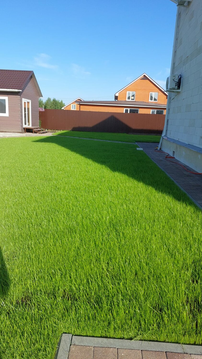 газон, газонная трава, газон (6.2-2.4-2.4), euro grass газон, трава для газона