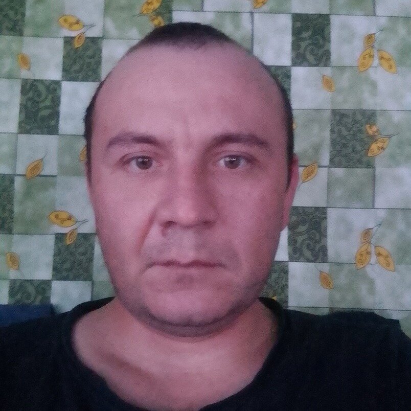 Дмитрий М.
