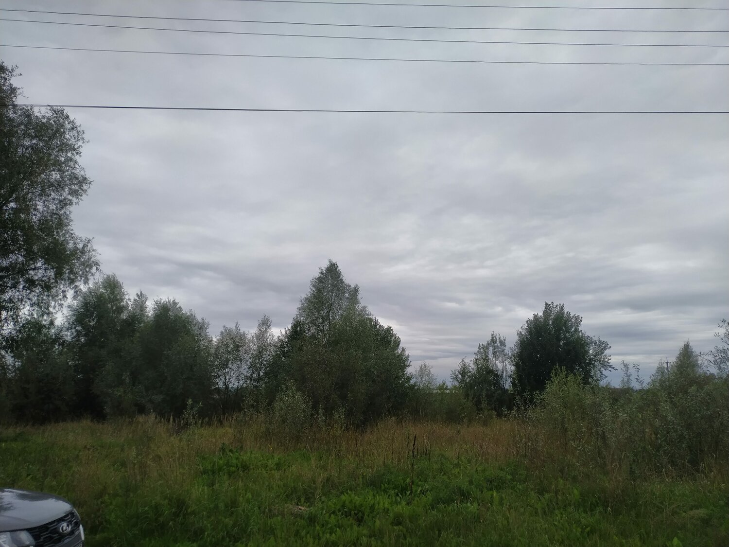 участок, лес в деревне введенское, участок в деревне, земельный участок, в деревне