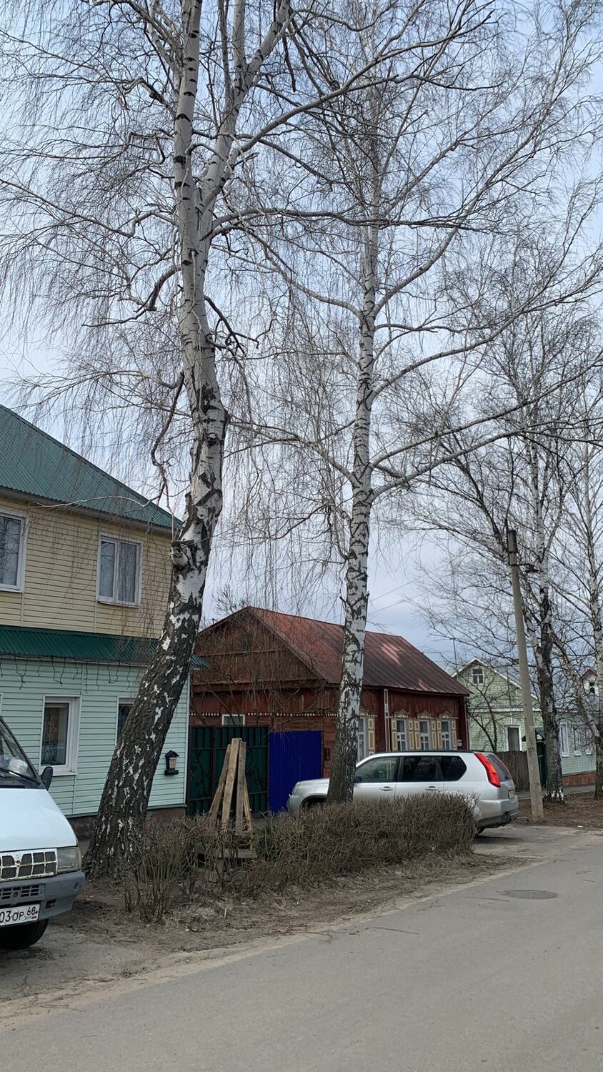деревня макаровка татарстан, береза, дом, деревни татарстана, улица
