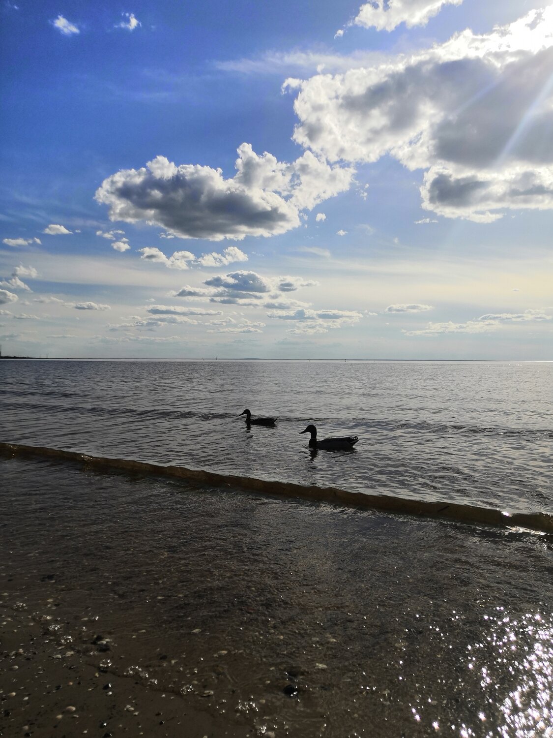 море, интерьер, человек, озеро нарочь, на берегу