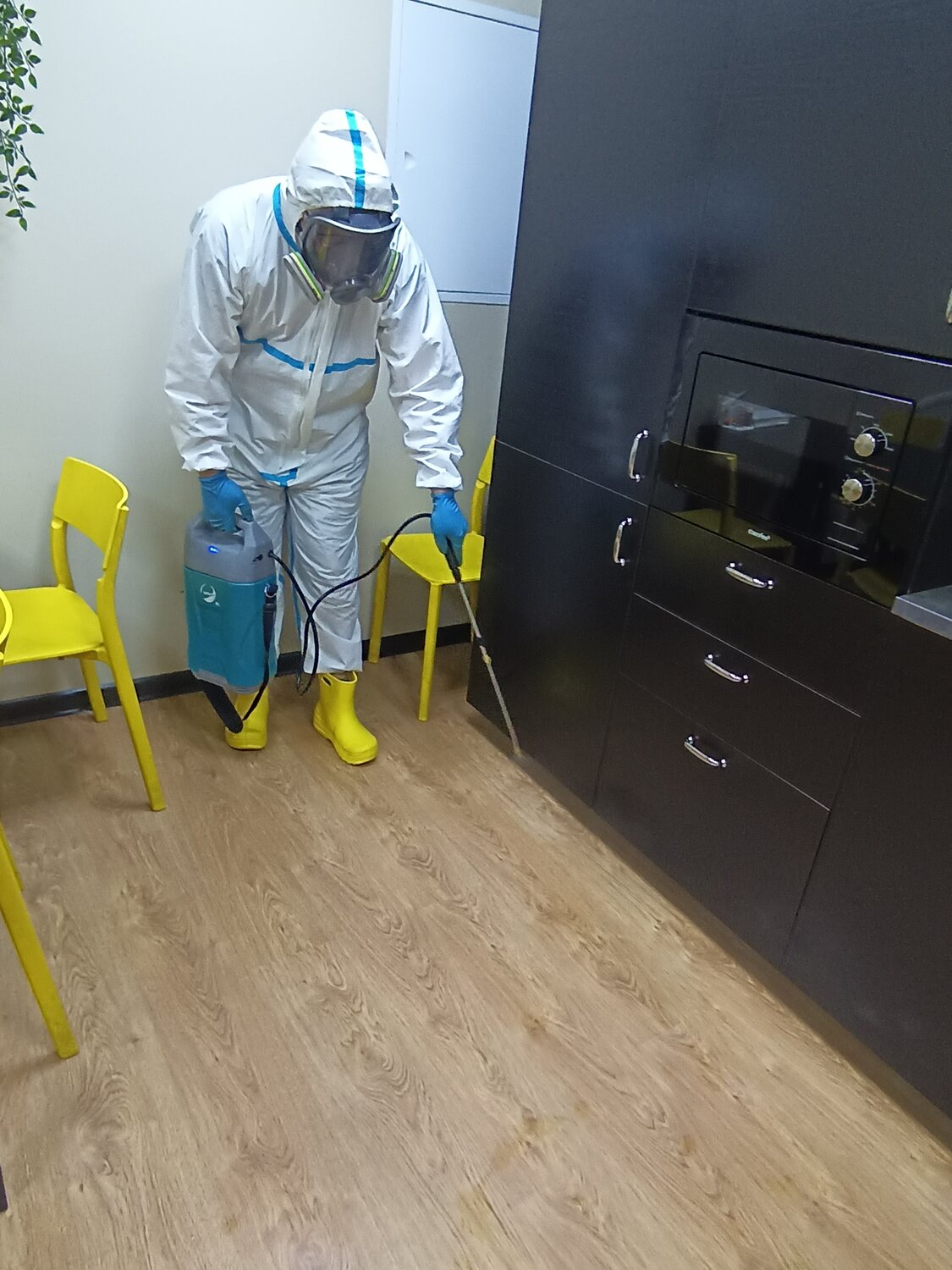 дезинфекция, дезинсекция, дезинфекция помещений, дезинфекция дезинсекция дератизация, профилактическая дезинфекция