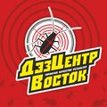 ДэзЦентр Восток