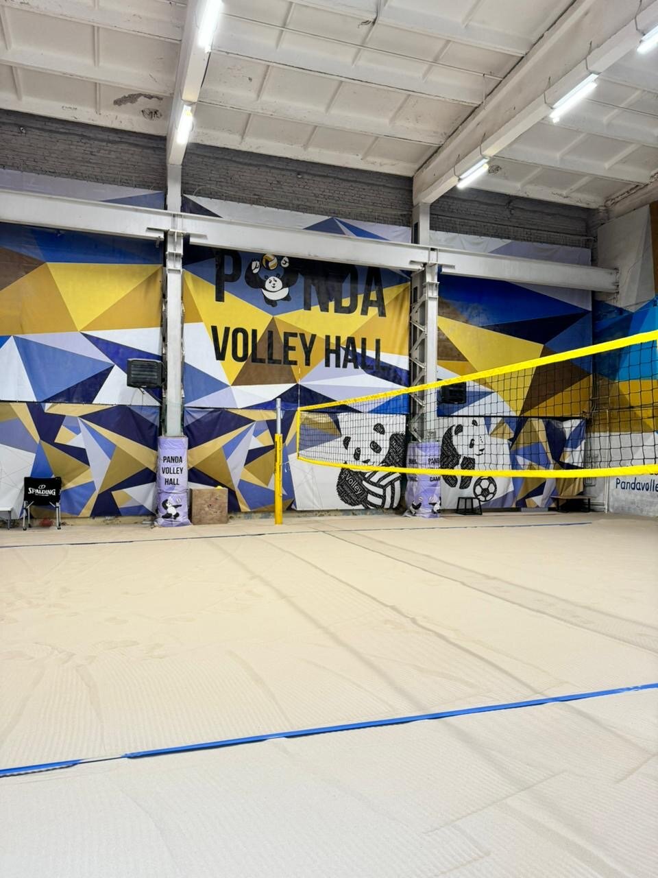 panda volley hall, площадка для волейбола, volley, спортивный зал, спортивные комплексы