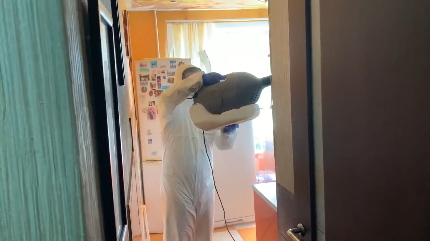 дезинсекция, дезинфекция, дезинфекция и дезинсекция, дезинфектор, дезинфекция помещений