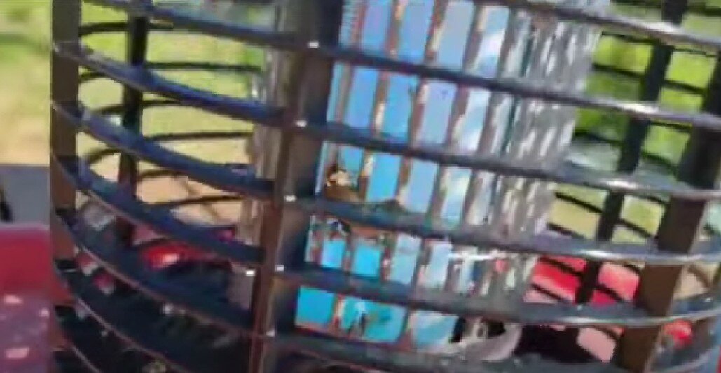 уничтожитель комаров skeetervac, black kill от комаров, уничтожитель комаров, сетка, стальной решетчатый настил