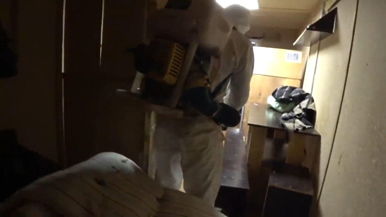 уничтожение клопов, дезинсекция, дезинфекция помещений, дезинфекция от клопов, дезинсекция и дератизация