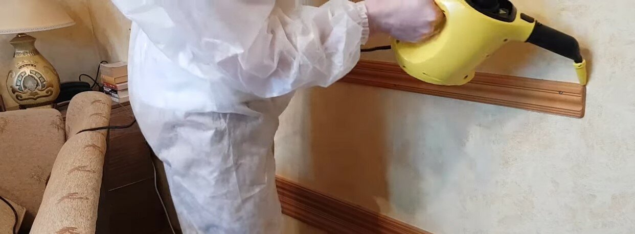 дезинфекция, дезинфекция от клопов, дезинфекция дезинсекция дератизация, дезинфекция помещений, дезинсекция