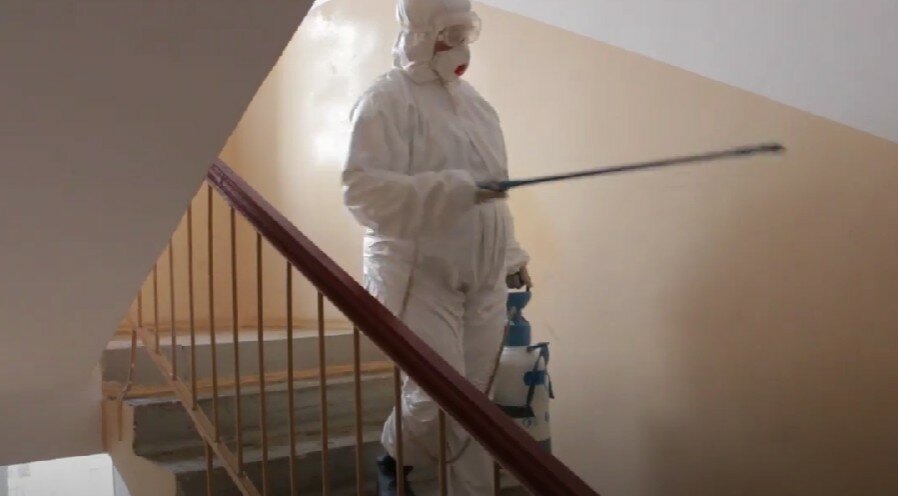 дезинфекция, дезинфекция помещений, дезинсекция, дезинфекция и дезинсекция, дезинфекция дезинсекция дератизация